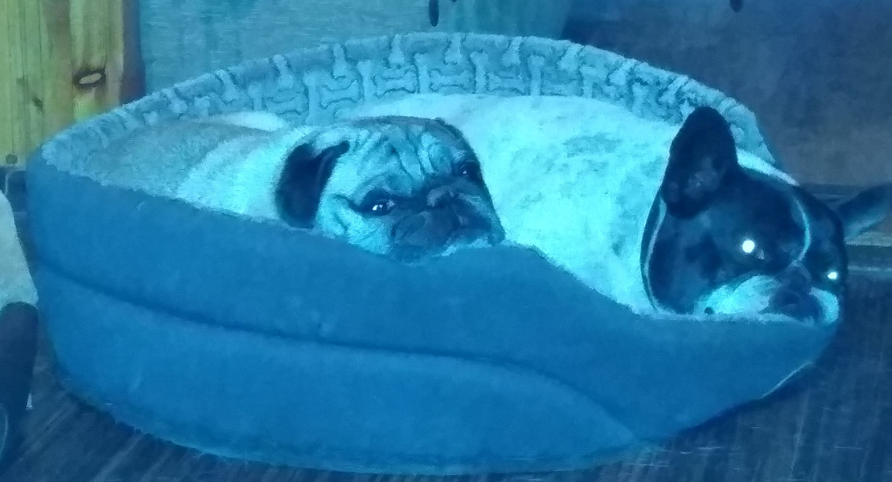 IMG_20190515_192423 (2)