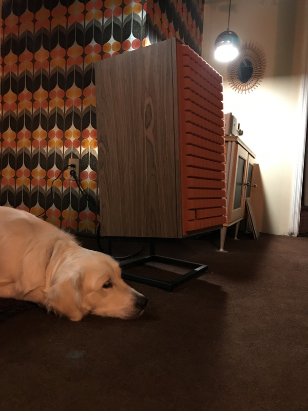 DC791577-9012-4AE9-821F-34FA79D7FD6D