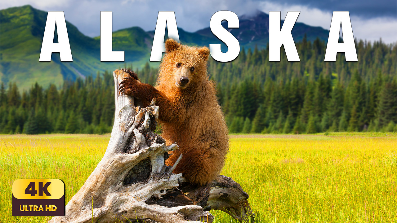 Alaska 4K – Nature & Relaxing Music | Peaceful Scenic Journey Through the Last Frontier