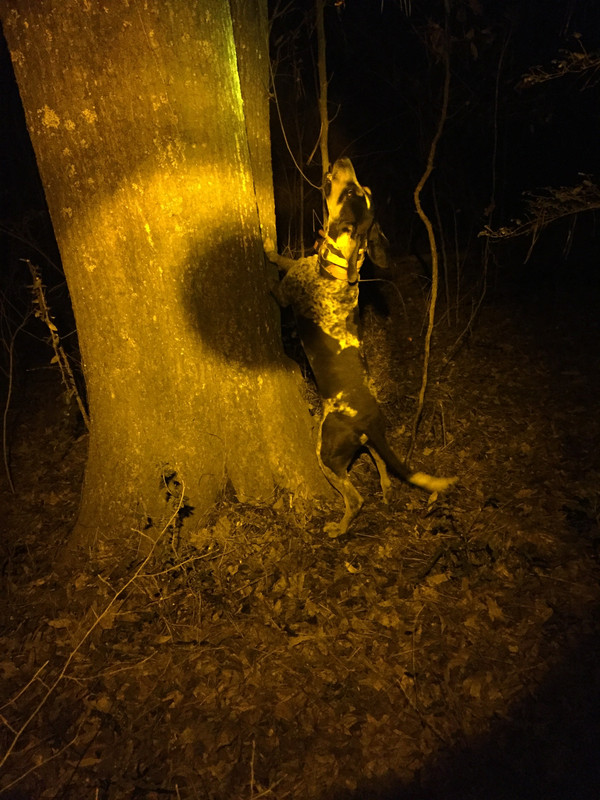 B70260F6-FDB8-4C39-8417-78C0CEA34150