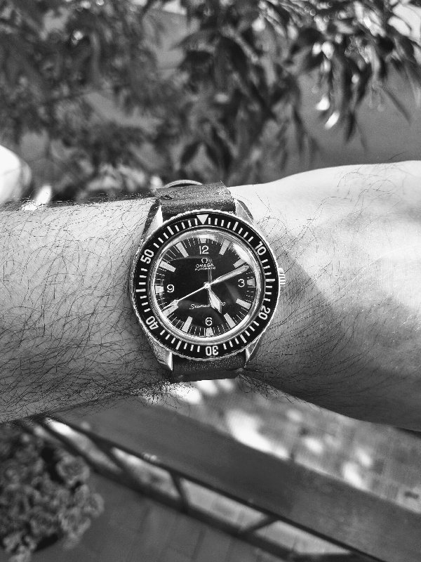 Omega Seamaster Raiz
