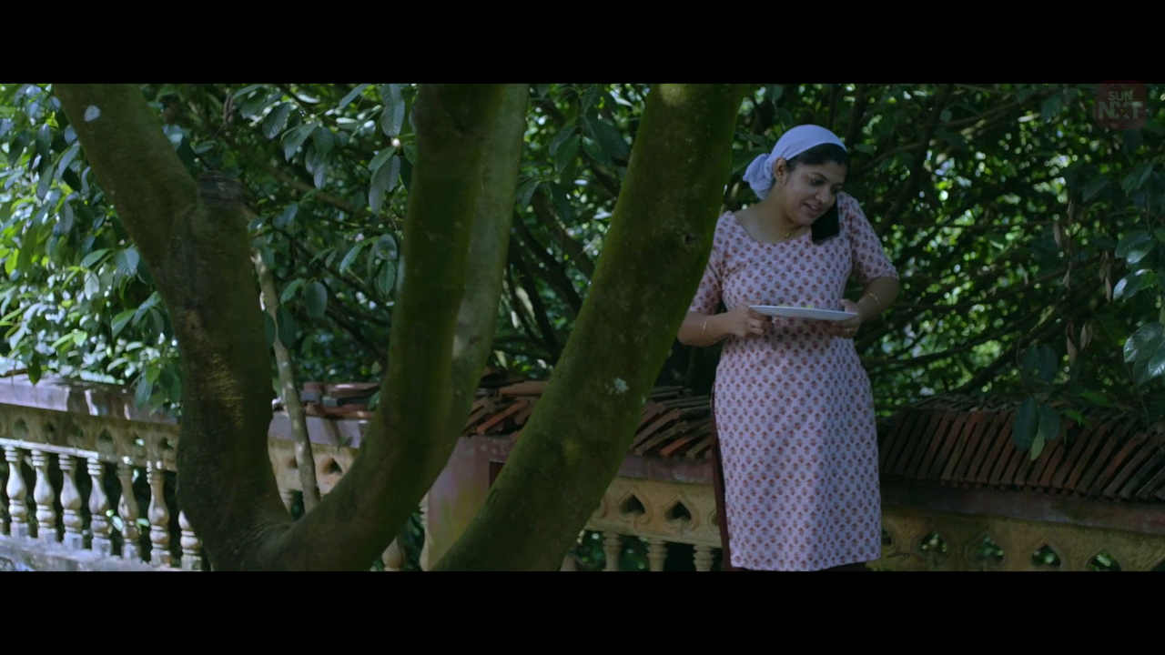 vlcsnap 2026 02 11 15h44m28s388