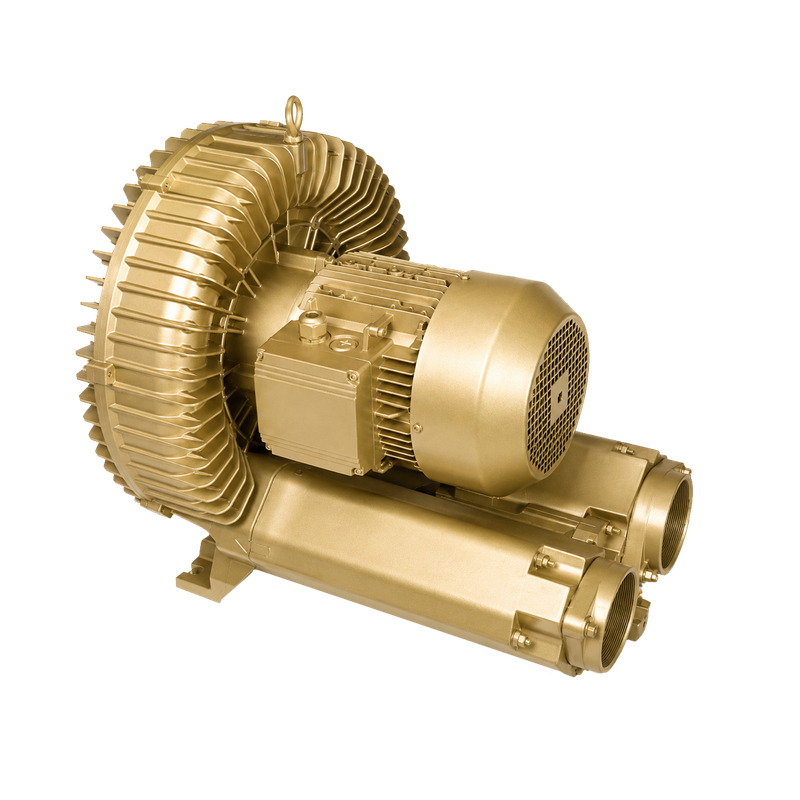Soplador regenerativo Ekko Pumps EKZ 1250-38
