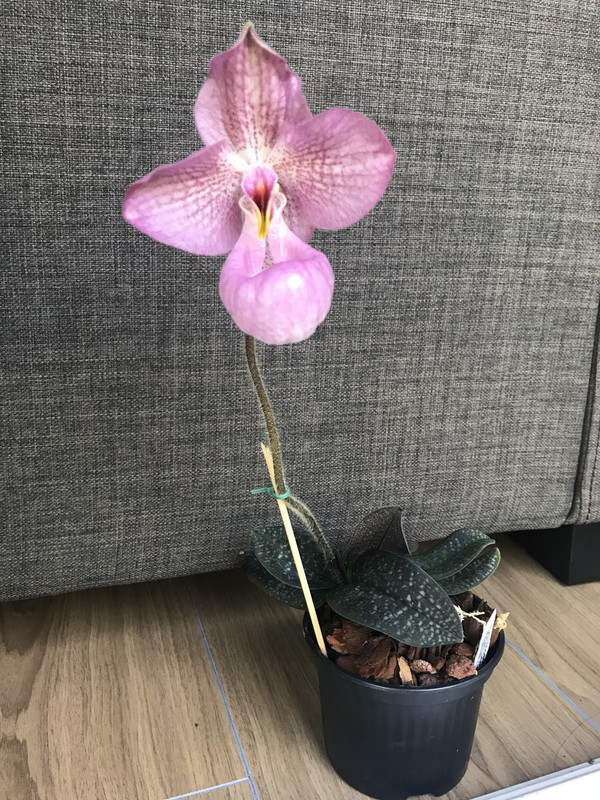 571603FA-ED9B-4136-8185-FF247143A1E2