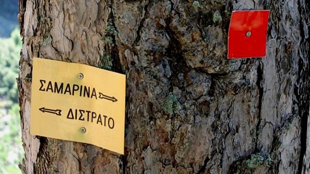 κοζάνη, ειδήσεις, νέα, Πτολεμαΐδα