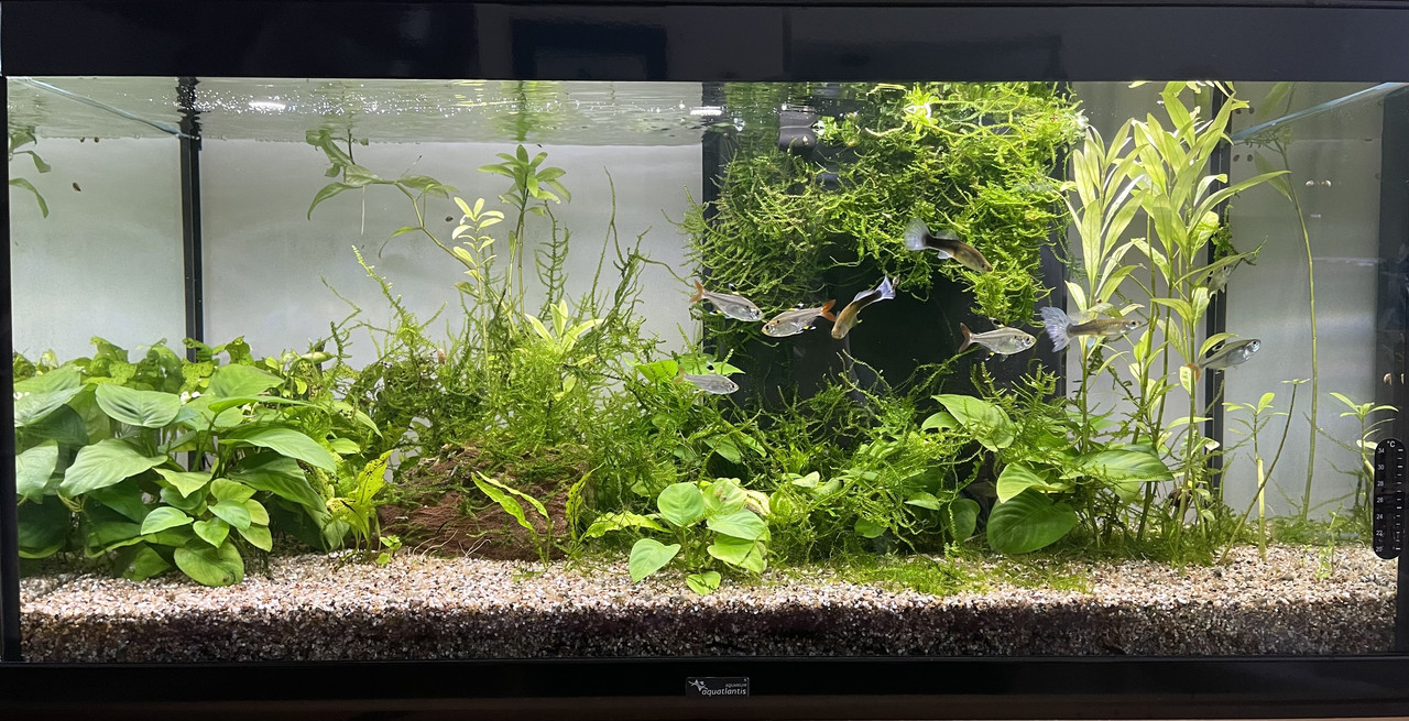 AD9FB032-DC02-4F24-9684-D411EEED3EE8