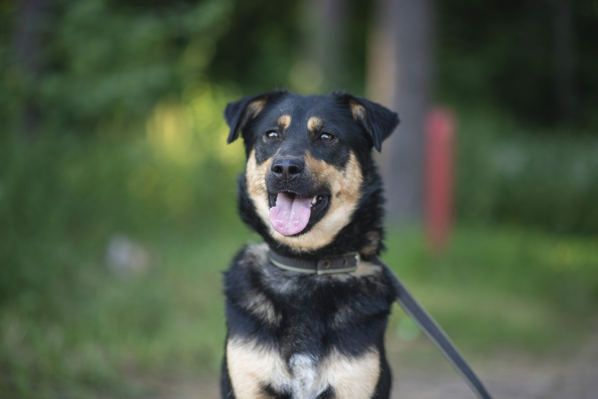 610_1208_могилев