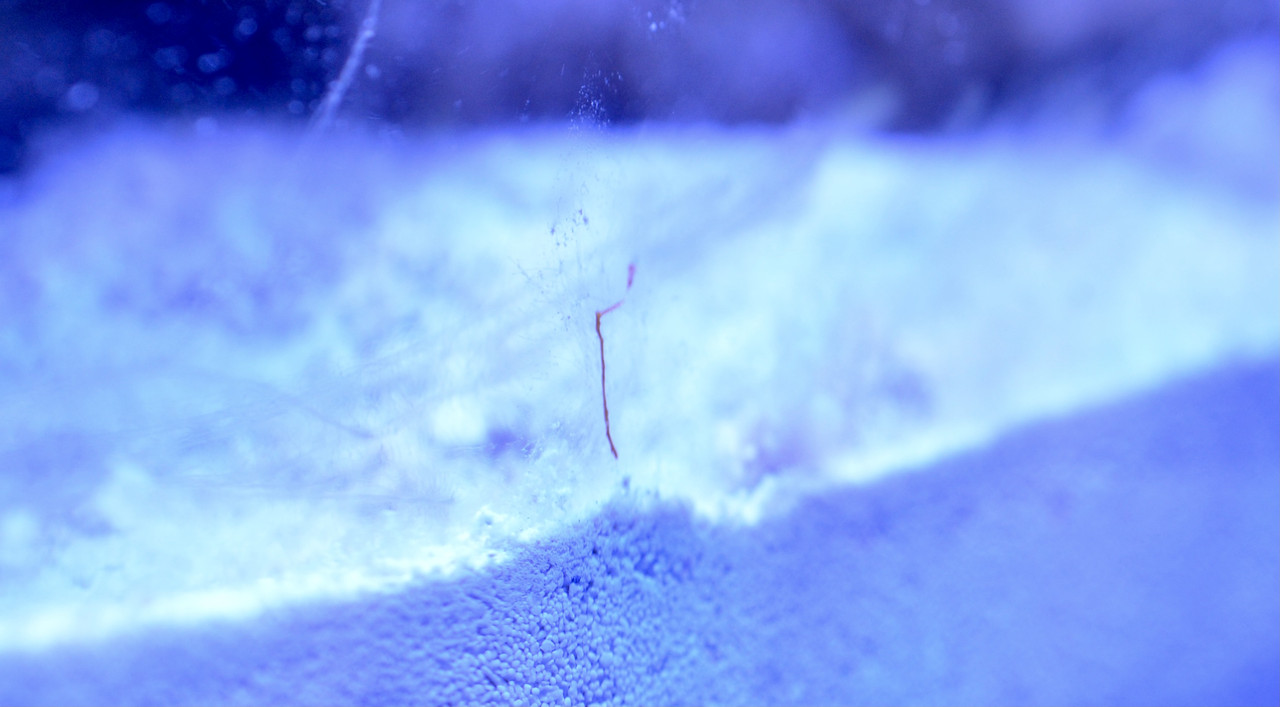 407982E4-053E-4241-ADEC-0D82079743AE