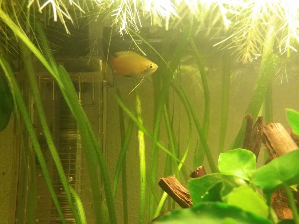 20161113_203819-1032x774