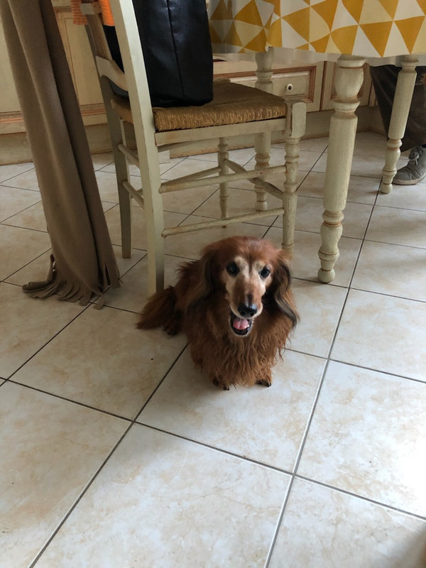 [Image: IMG-1242.jpg]