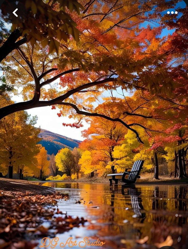 Screenshot_20240218_211604_Pinterest