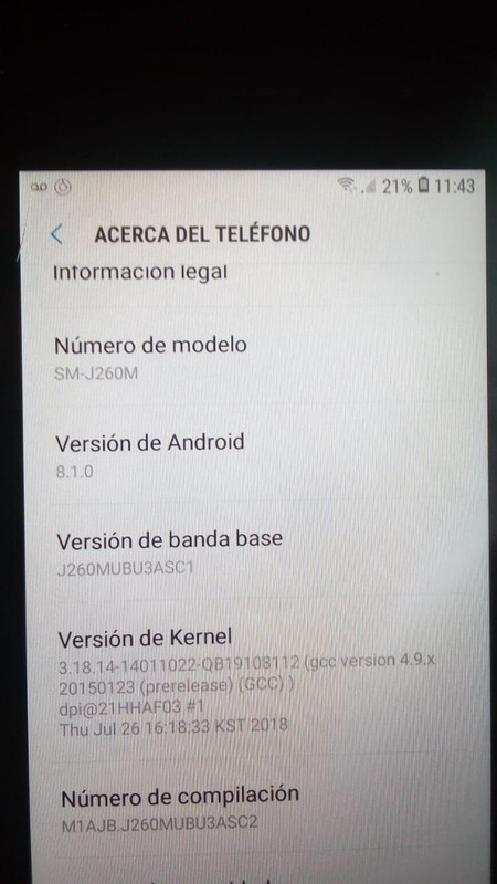 WhatsApp Image 2019-06-22 at 11.44.06 (1)