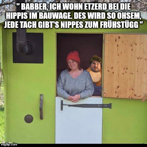 7iz667.jpg