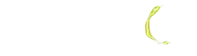 PAKDE4D