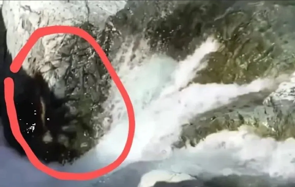 ¡Aterradora sombra en el Cajón del Azul!