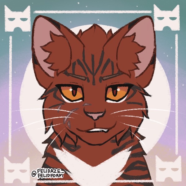 Clan generator thing, but instead of learning how to draw i spent 3 hours  on picrew : r/WarriorCats