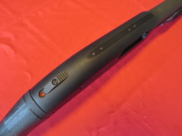 Waff-ank-Clearwater-013