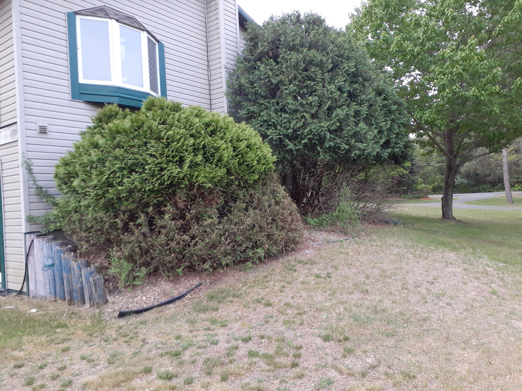 20250519_055324