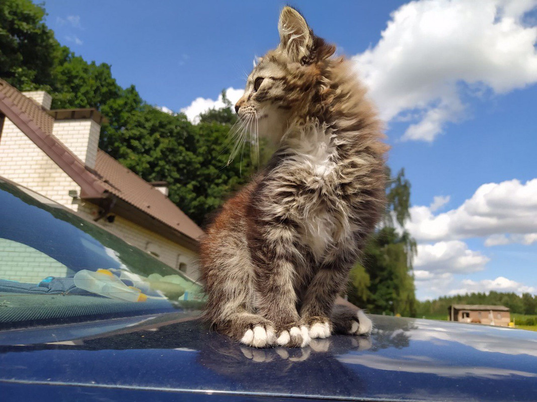 6CE4B1C1-CAB7-4A5D-8C34-E952AC2F4368