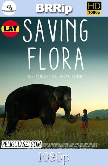 Saving Flora (2018) Full HD BRRip 1080p Dual-Latino