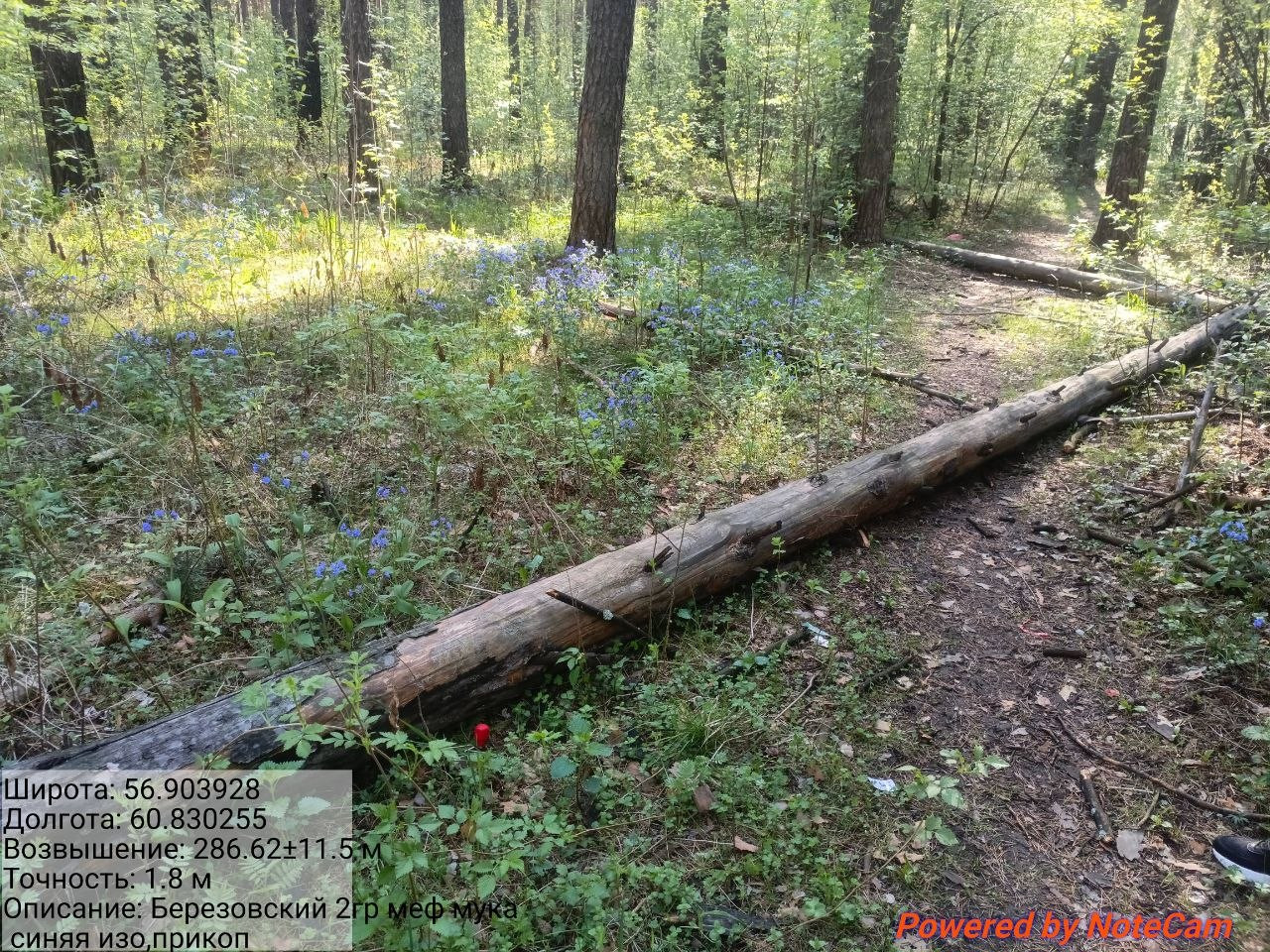 photo 28 2026 05 15 12 37 06