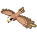 Black Kite