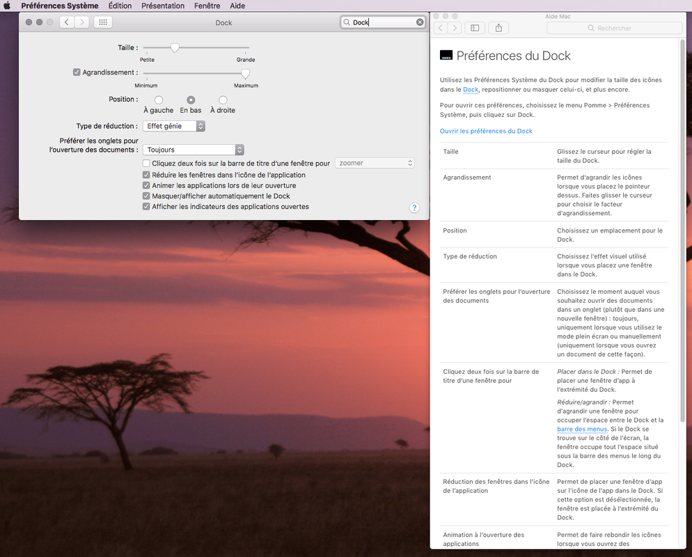 Capture Aide préf systèm  Dock