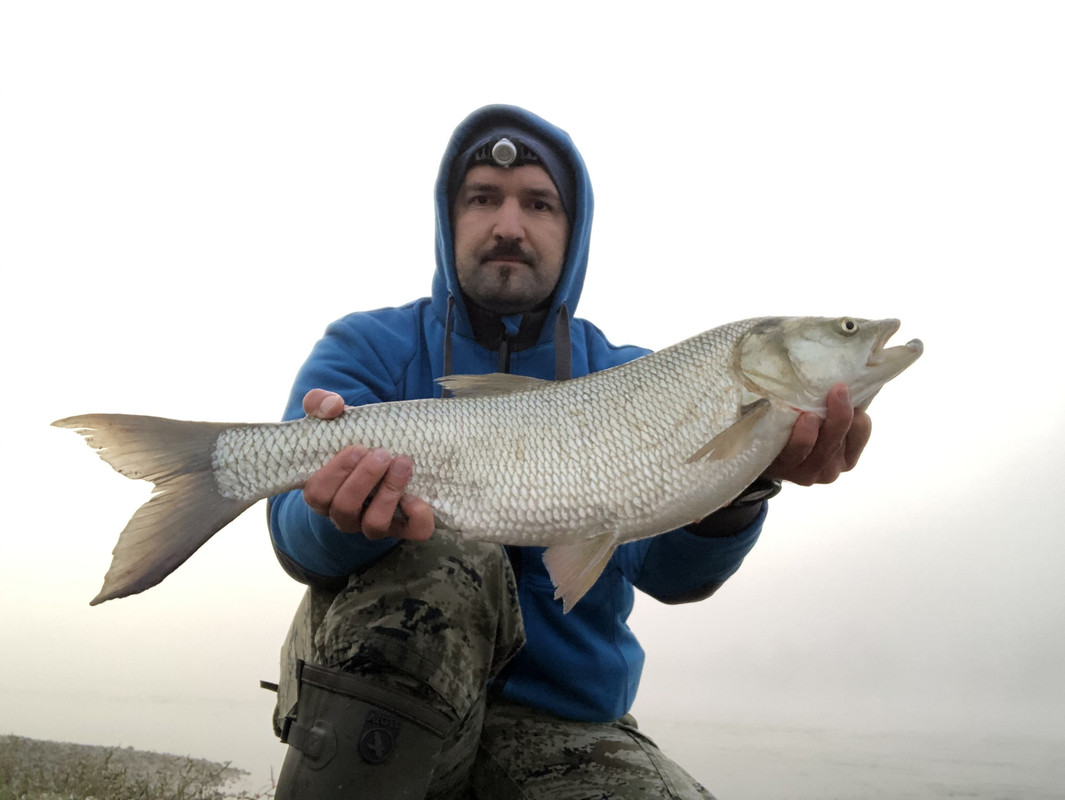 42B405DE-1E82-41EB-B870-A8F073E61D69