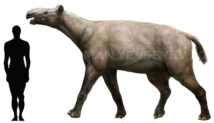 0f0d36d70ffe832547b759db3adbe2ca