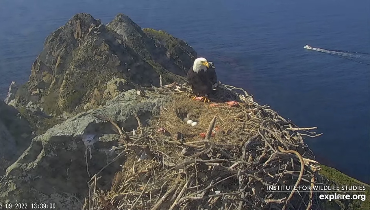 75E24DDA-EA1F-49ED-AB0B-2C56FC8A65FD