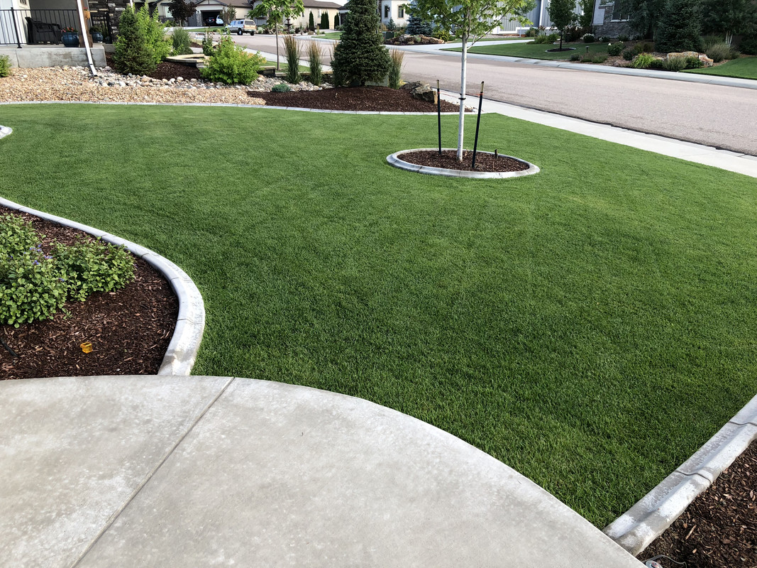 99C92AA6-5A75-482D-9173-BF385A579CBC