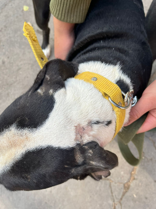 WhatsApp Image 2022-09-13 at 13.03.09 (1)