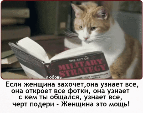 b-gif-gif-gif-gif-2-gif-gif-gif-gif2