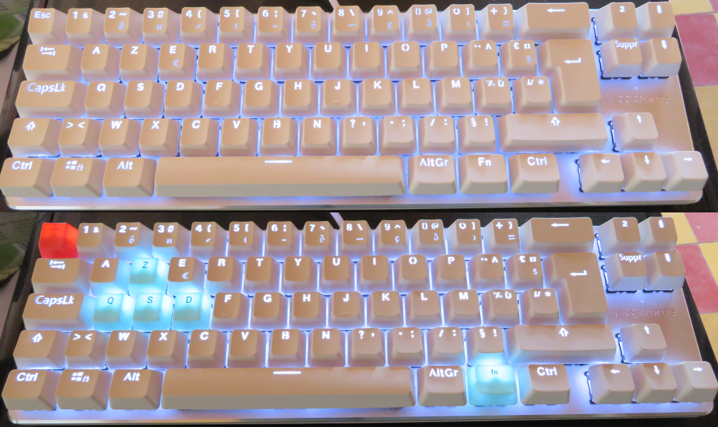 https://i.postimg.cc/sfbPNM1V/white.png