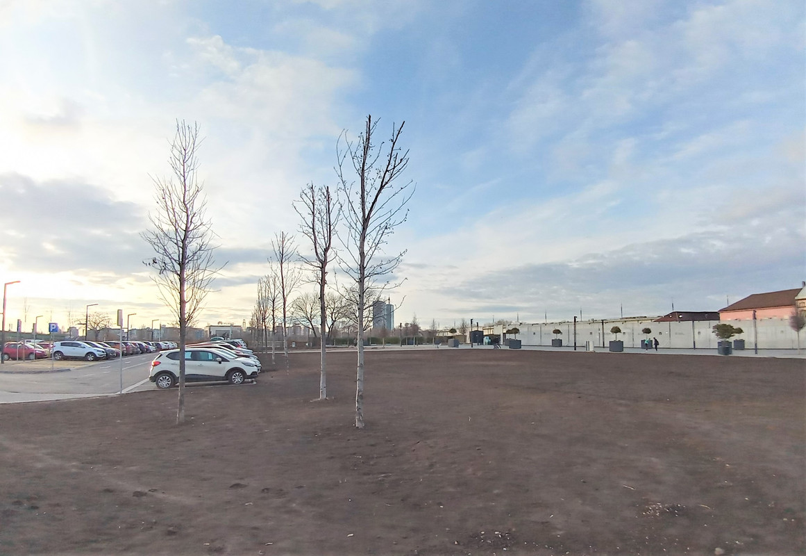 20200131_153229_HDR(1)