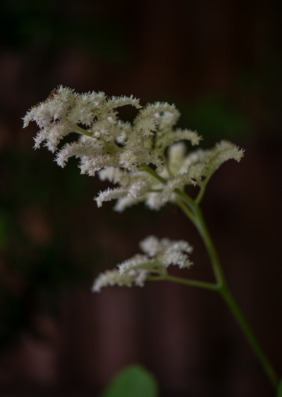 IMG-b81adca76868d7ac5f22c5a669b29707-V