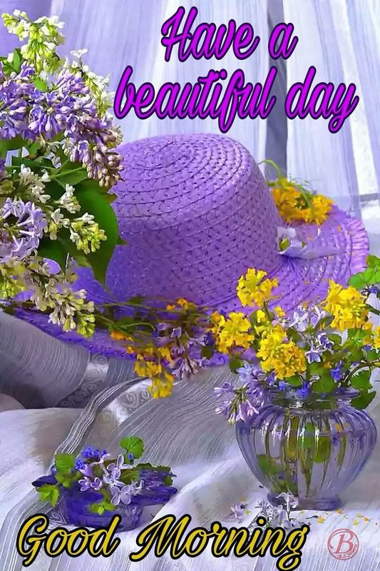 73d156fb956797fbe66fb77b2f4d6d3c