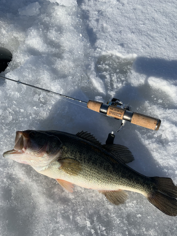 6788AE72-552B-4A35-89AB-7CCA5274FAB6