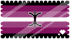 bpdfem