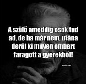 https://i.postimg.cc/sfbz8bV3/a-szulo-ameddig.jpg