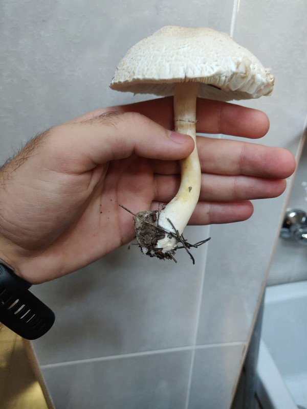 WhatsApp Image 2022-12-16 at 20.19.01 (1)