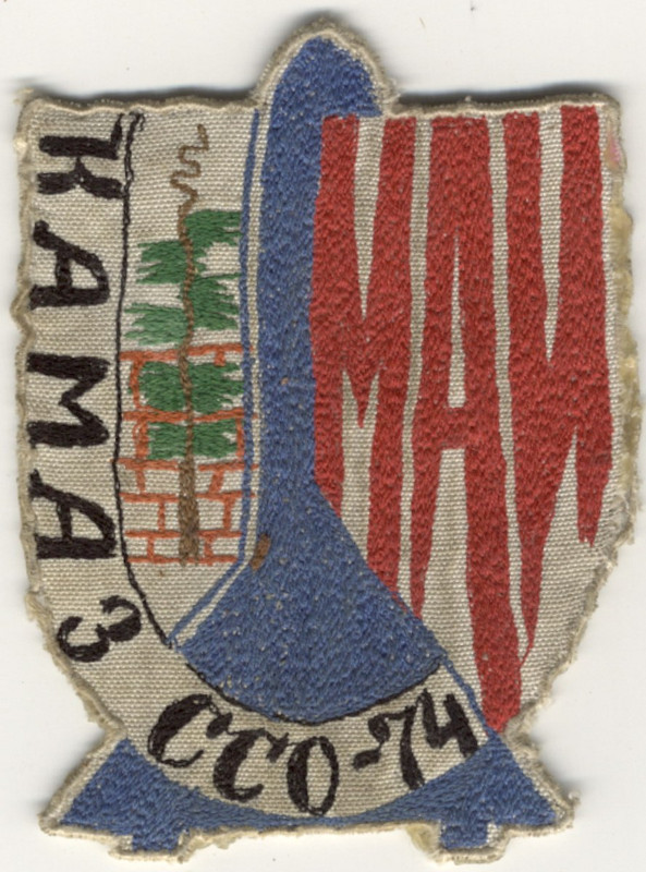 эмблема рукав74