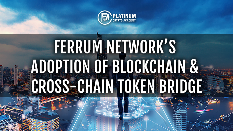 FERRUM-NETWORKS-ADOPTION-OF-BLOCKCHAIN-C