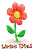 LDA1.gif