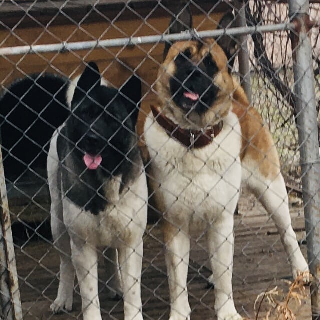 IMG_20191127_232638_045(1)