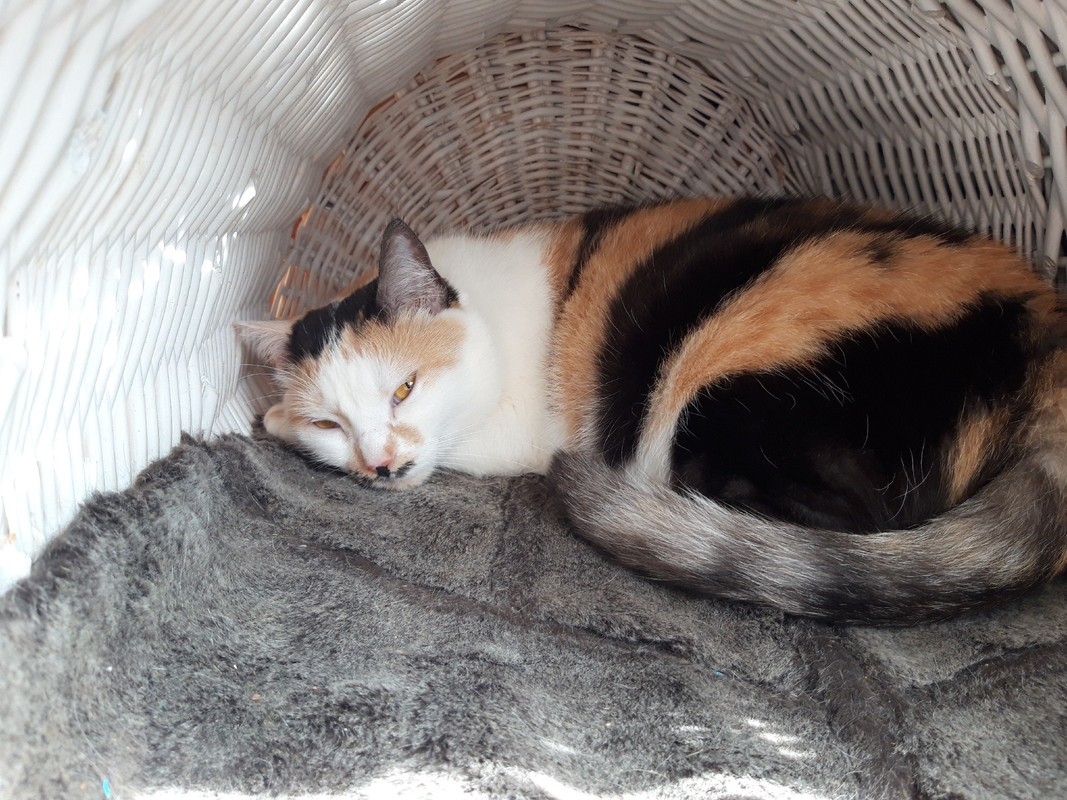 Qzzc3l0V_b113mXg5PWyml_sgwV7evdW7DrOl0vQJem2SR8RIFJ_muGcU-_6fwakaISaxzK7EhsWrxmZ97CHsMeN