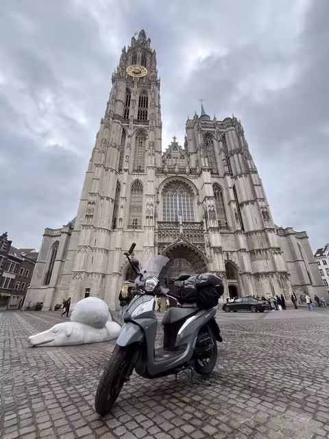 Afbeelding