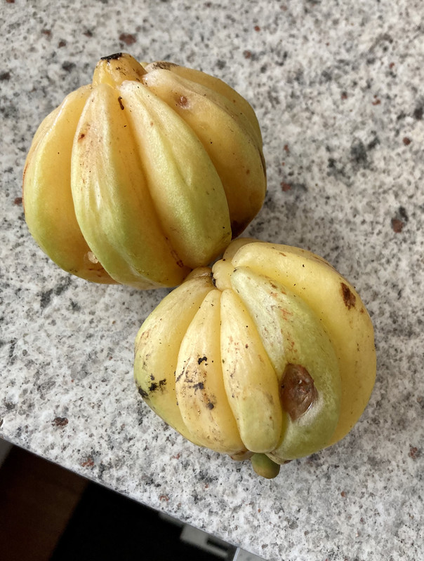 8E295438-3F70-4A72-B532-5CAE9B783CE6