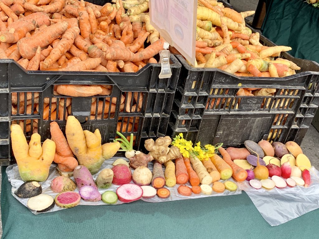 3140E365-D8C5-47C0-86FB-2969378E8C8F