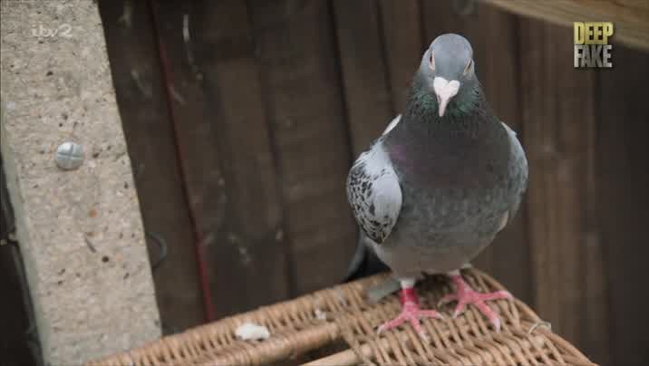 [Image: t12amla8c2ht.jpg]